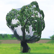Rede reforçada para árvores de fruto - 5x12 m